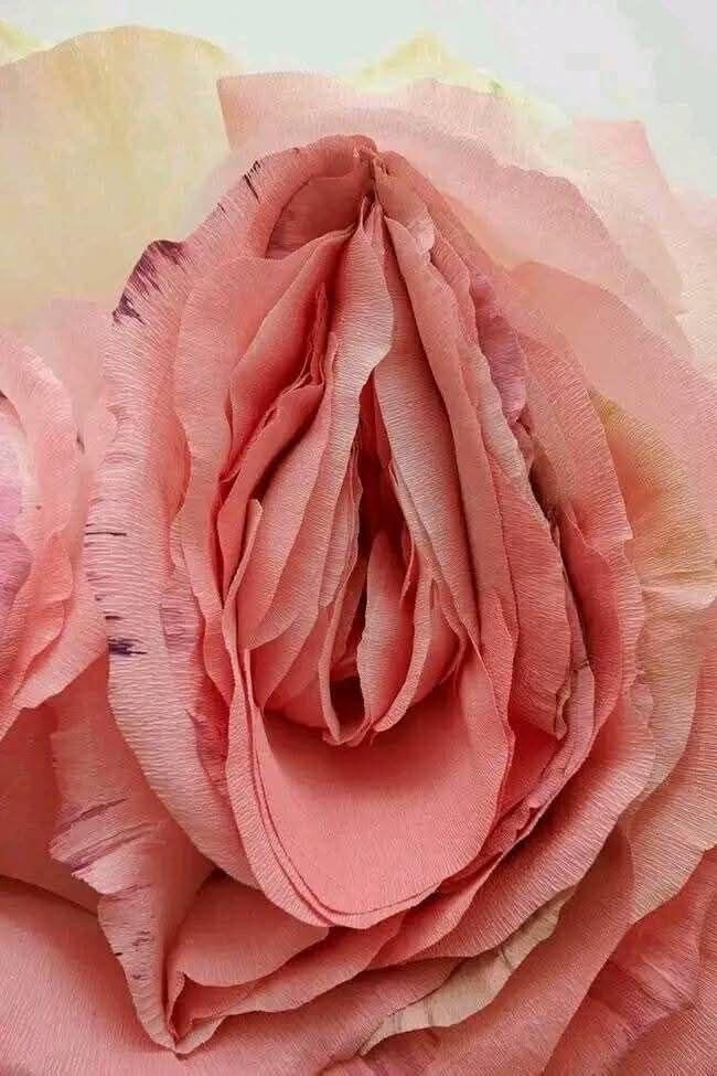 Imagem Pinterest 
